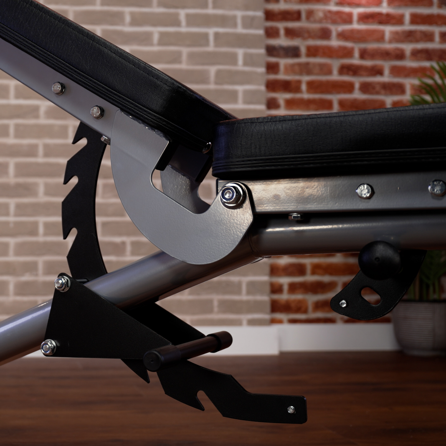 Horizon Adonis+ - Gym Rack and Adonis Bench