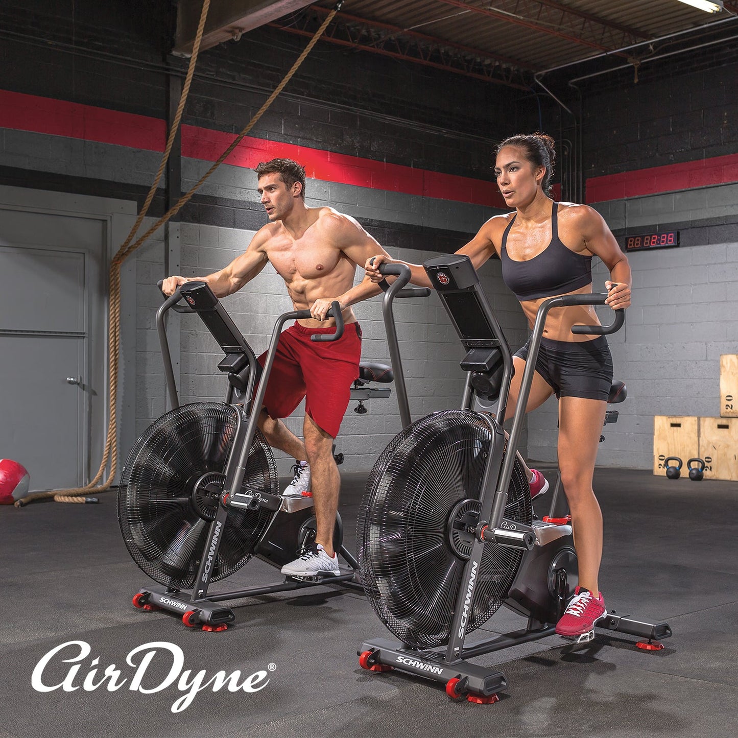 Schwinn Fitness Airdyne AD8 Bike