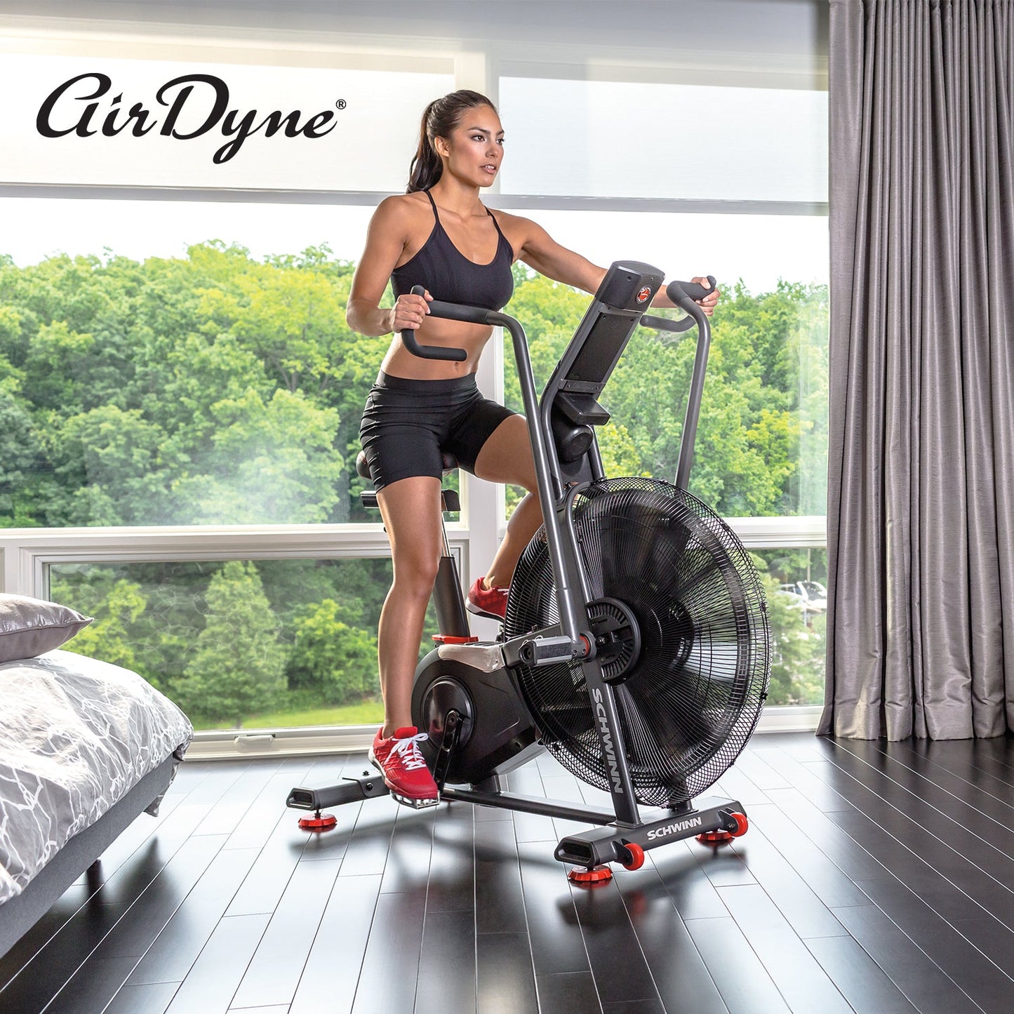 Schwinn Fitness Airdyne AD8 Bike