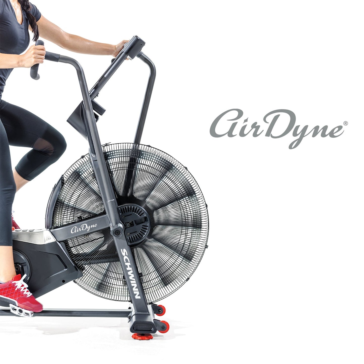 Schwinn Fitness Airdyne AD8 Bike
