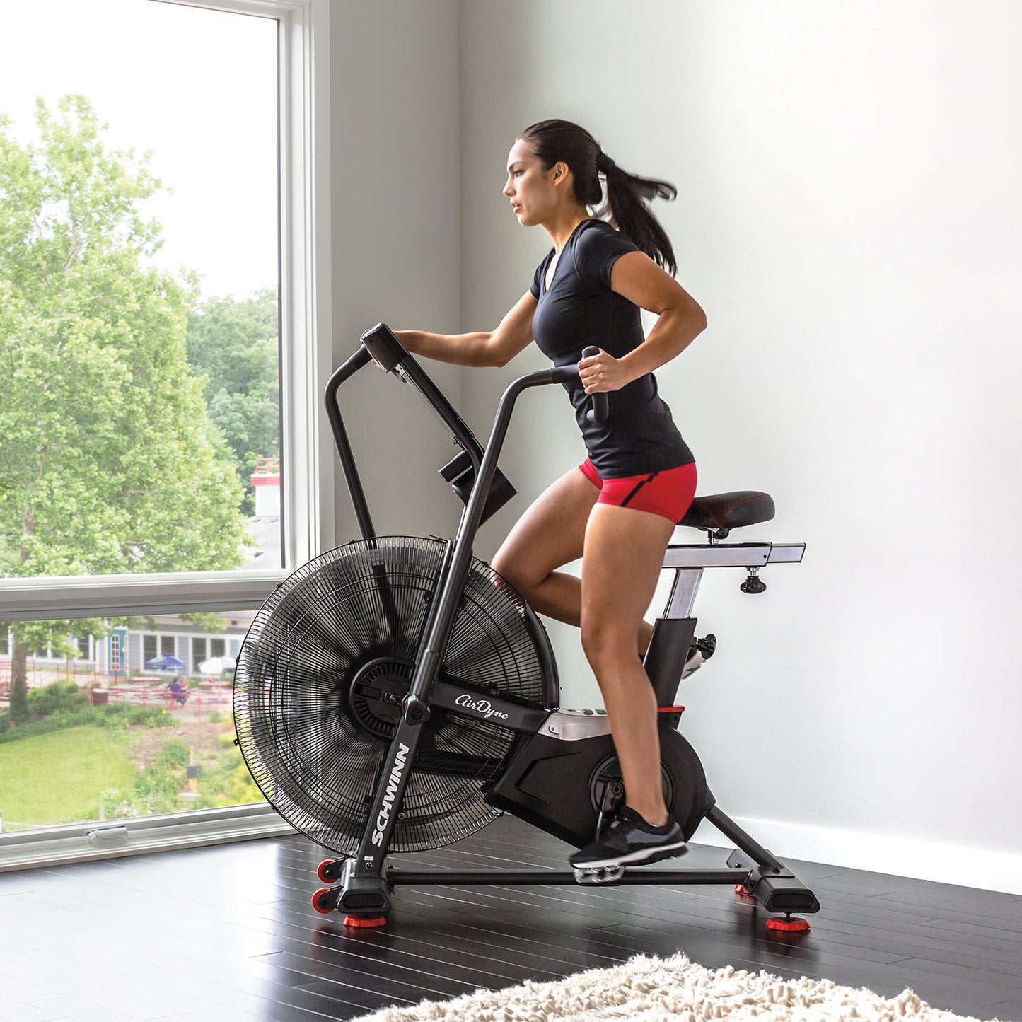 Schwinn Fitness Airdyne AD8 Bike