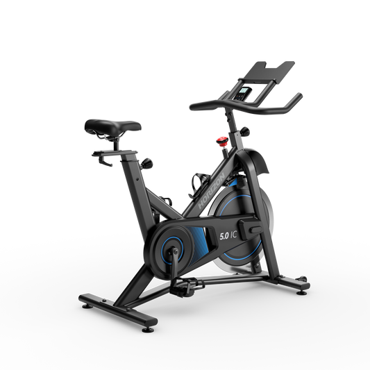 Horizon 5.0IC Indoor cycle
