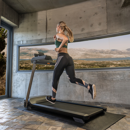 Grade C - Horizon Evolve 3.0 @Zone Treadmill